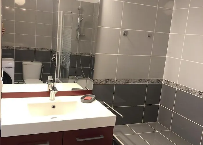 T2 46 M2 O'lac Proche Du 1 Parking Terrasse アパート *