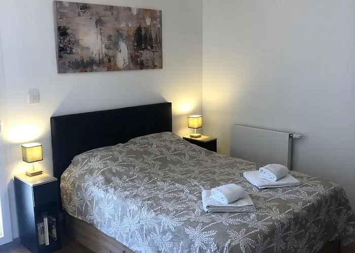 アパート T2 46 M2 O'lac Proche Du 1 Parking Terrasse エクスレバン